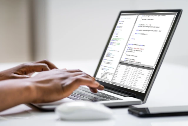custom-software-application-service